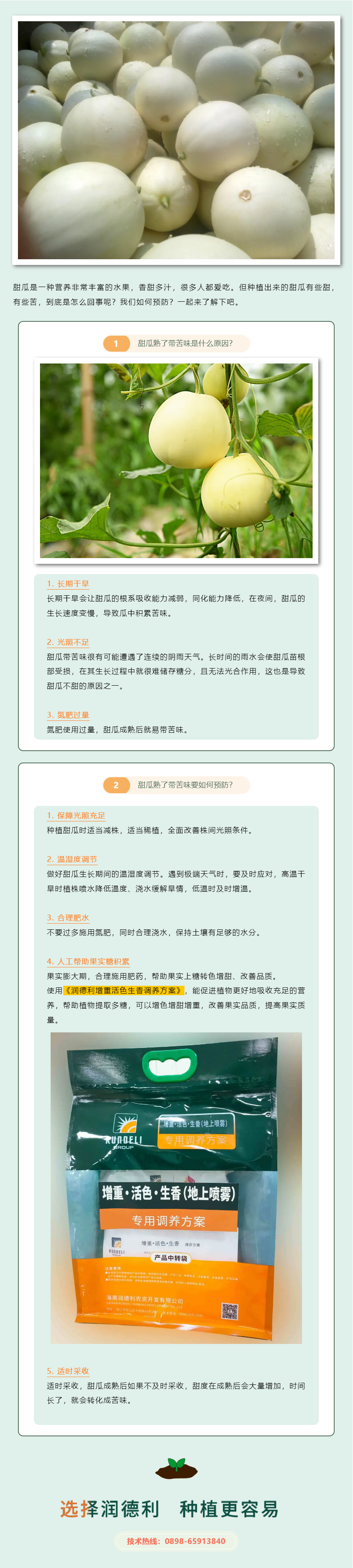 甜瓜熟了帶苦味是什么原因？如何預(yù)防？.png