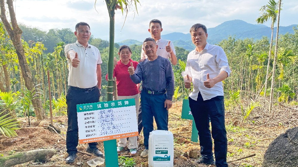 富力施魚蛋白肽有機(jī)水溶肥料，多場(chǎng)試驗(yàn)示范證明其效果顯著