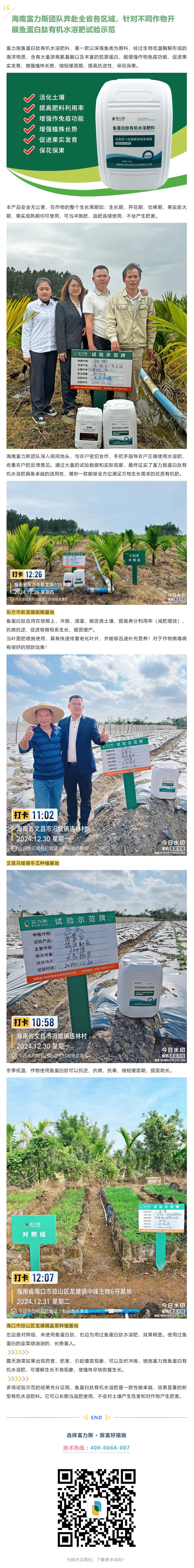 海南富力斯團隊奔赴全省針對不同作物開展魚蛋白肽試驗示范.png