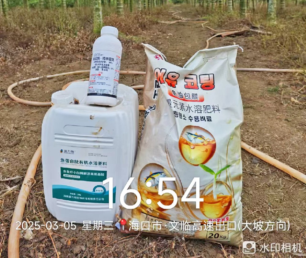 雙肥出擊！魚蛋白 + 魚油包膜為海南作物賦能